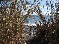 aiola-20110227 006